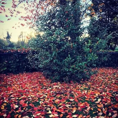 Le Domaine Des Courts Champs Vila