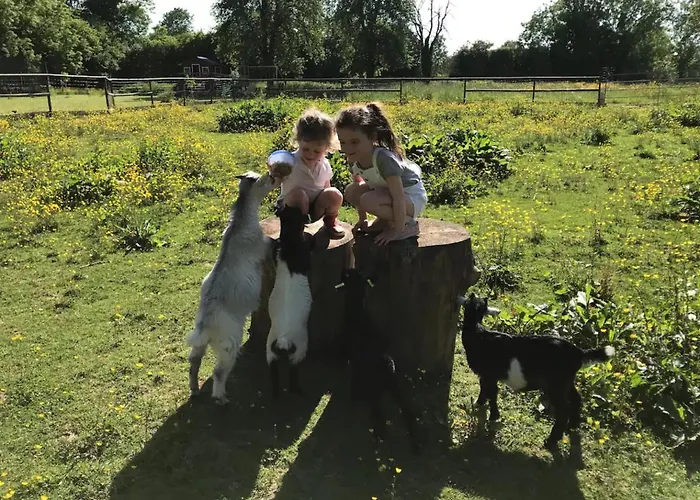 Le Domaine Des Courts Champs Villa