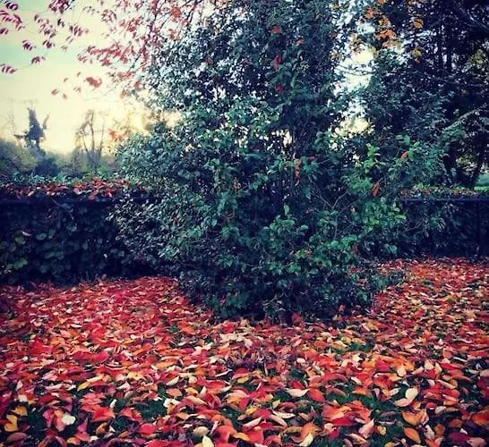 Le Domaine Des Courts Champs Villa